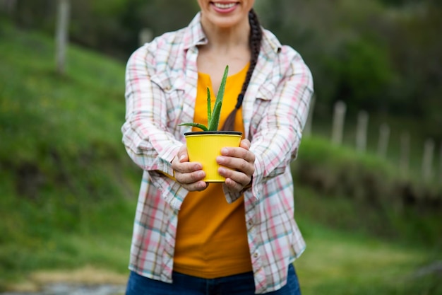 Close-up van een aloëplant in een gele pot die wordt vastgehouden door een onherkenbare vrouw terwijl ze lacht om te kopiëren