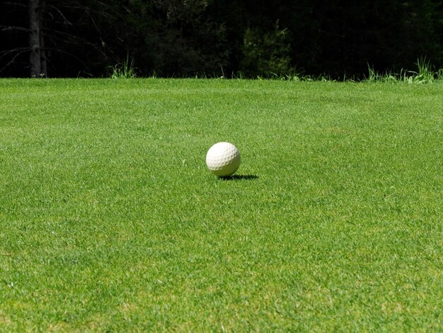 Close-up van een bal op een grasland