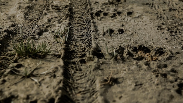 Close-up van een bandenbaan op nat terrein