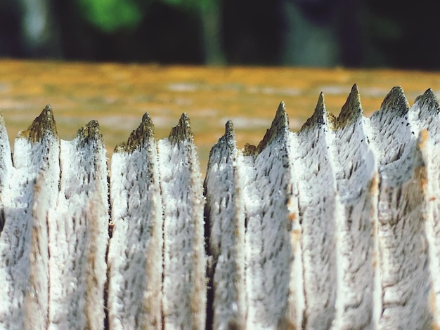 Foto close-up van een bevroren hek