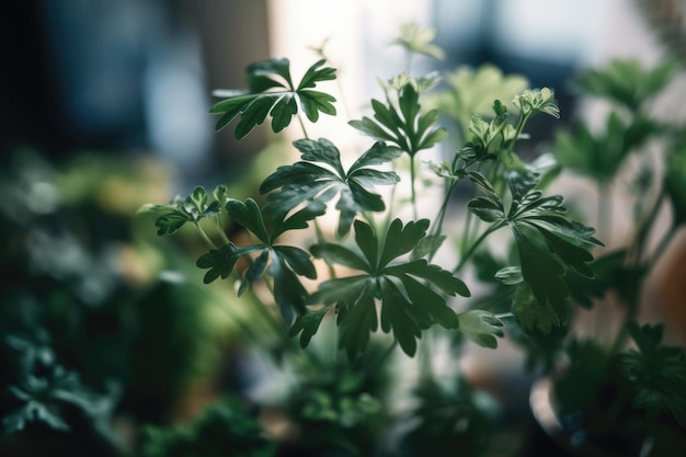 Close-up van een binnenplant met delicate bladeren en stengels in focus gecreëerd met generatieve ai