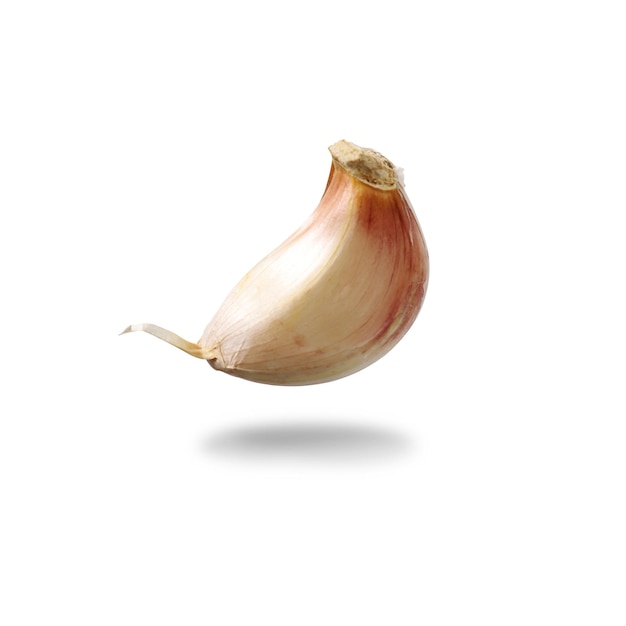 Close-up van een blad tegen een witte achtergrond