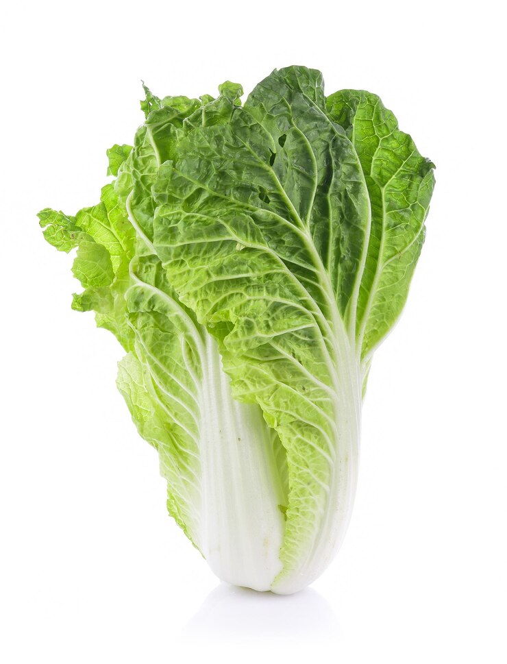 Foto close-up van een blad tegen een witte achtergrond