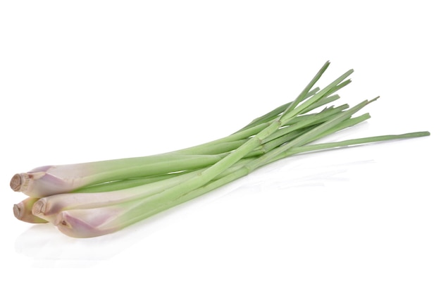 Close-up van een blad tegen een witte achtergrond
