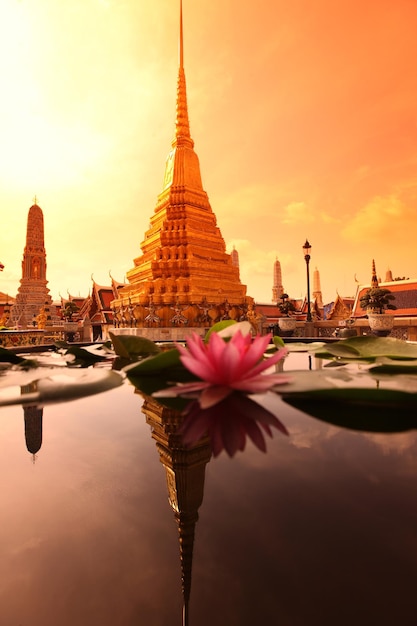 Close-up van een bloeiende lotus in een vijver tegenover de tempel tijdens de zonsondergang