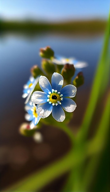 Close-up van een bloem in de buurt van een waterlichaam generatieve ai