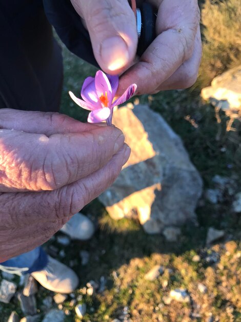 Foto close-up van een bloem in de hand