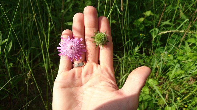 Foto close-up van een bloem in de hand