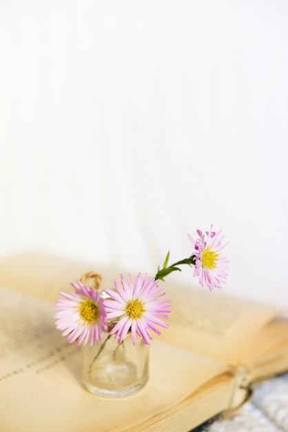 Close-up van een boeket van kleine magenta bloemen op een open boek op een witte gebreide achtergrond.