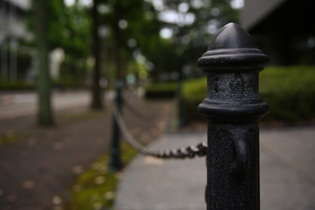 Close-up van een boom in een park