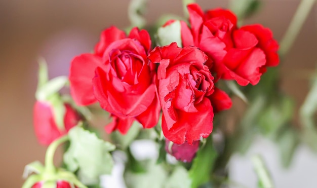 Foto close-up van een bouquet rode rozen