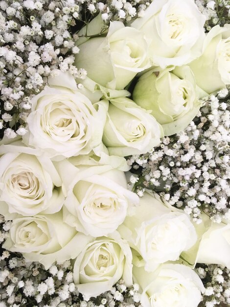 Foto close-up van een bouquet witte rozen