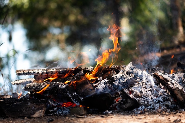 Close-up van een brand op een boomstam