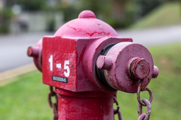 Close-up van een brandkraan op het veld