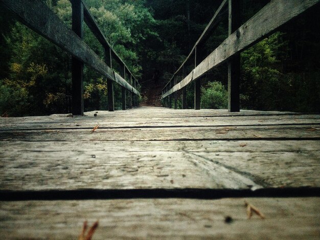 Foto close-up van een brug op een boom