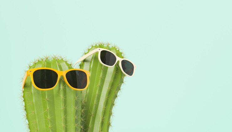 Foto close-up van een cactus met een zonnebril op blauwe achtergrond
