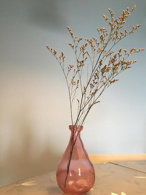 Close-up van een droge plant in een glazen pot