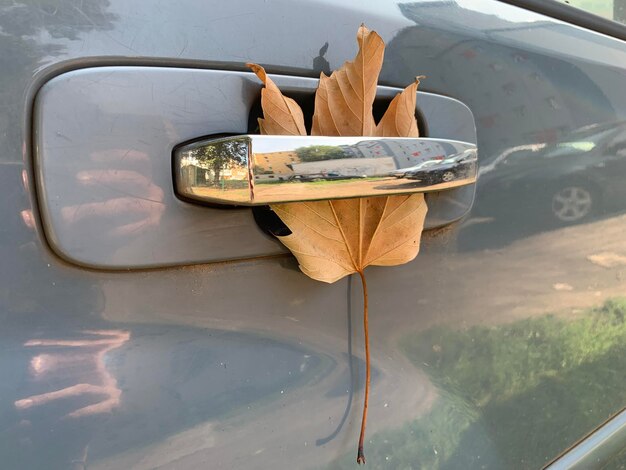 Foto close-up van een esdoornblad in het slot van de deur van de auto