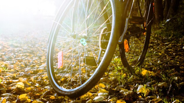 Foto close-up van een fiets geparkeerd op het veld