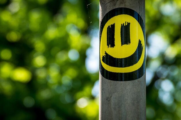 Foto close-up van een geel bord op een boomstam