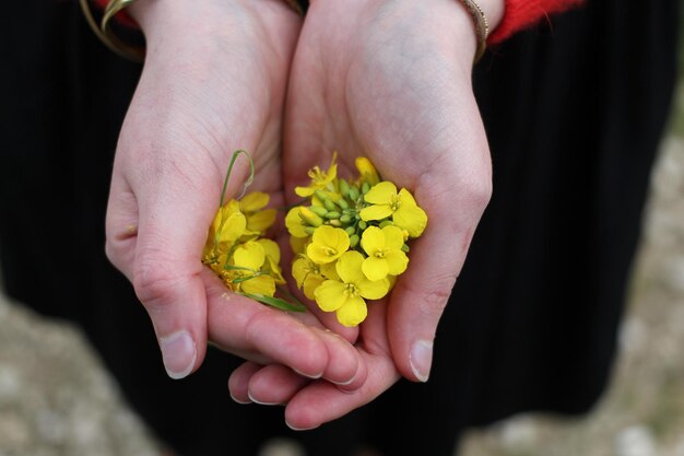 Close-up van een geknipte bloem met de hand