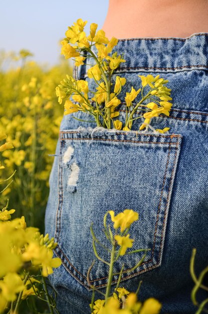 Foto close-up van een gele bloeiende plant op het veld