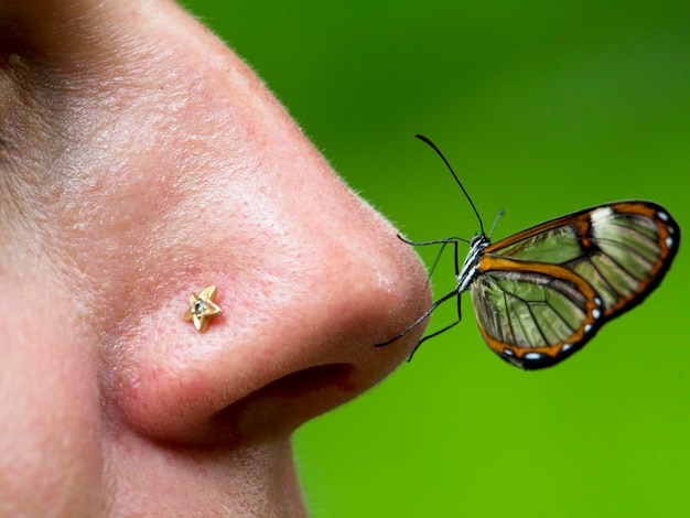 Foto close-up van een glasvleugel vlinder greta oto rust op neus in vilcabamba ecuador.