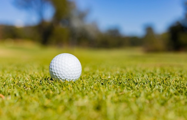 Close-up van een golfbal op een fairway green op een golfbaan