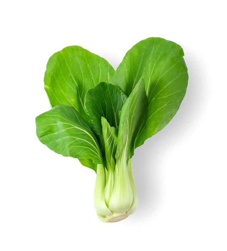 Foto close-up van een groen blad tegen een witte achtergrond