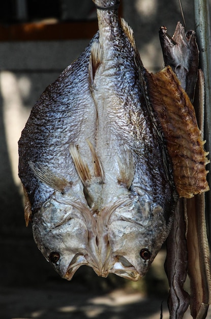 Close-up van een hagedis op een droog blad