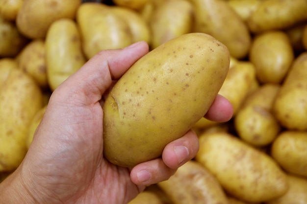 Foto close-up van een hand die een aardappel vasthoudt met een wazige hoop aardappelen op de achtergrond