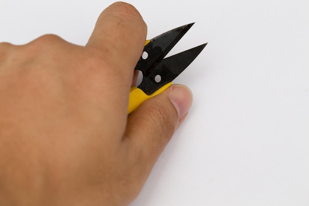 Foto close-up van een hand die een blad vasthoudt tegen een witte achtergrond