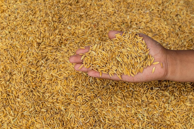 Close-up van een hand die een blad vasthoudt