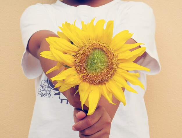 Foto close-up van een hand die een gele bloem vasthoudt
