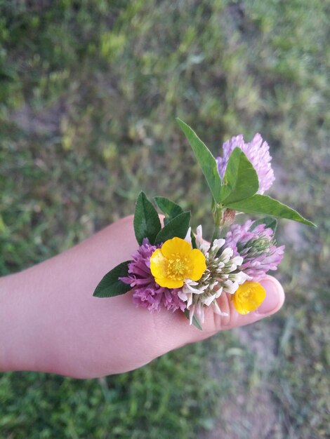 Foto close-up van een hand die een gele bloem vasthoudt