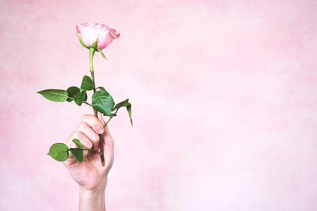 Close-up van een hand die een roze roos vasthoudt