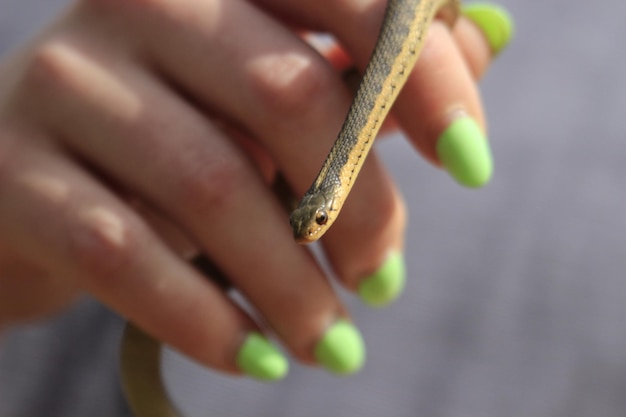 Foto close-up van een hand die een sigaret vasthoudt