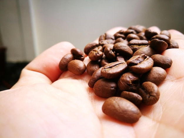 Close-up van een hand die geroosterde koffiebonen vasthoudt
