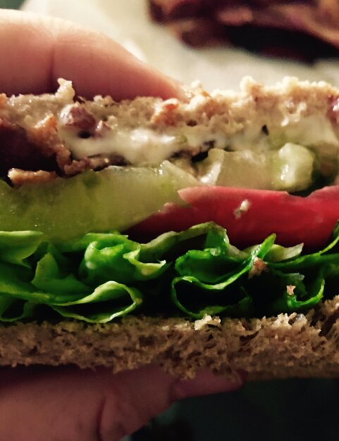 Foto close-up van een hand sandwich