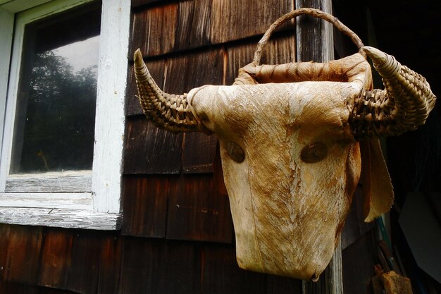 Foto close-up van een handgemaakte rieten stier schedel op de deur