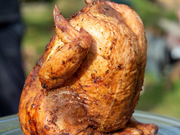 Close-up van een heldere, sappige kip in kruiden die volledig op de grill zijn gekookt. Wazig groene achtergrond. horizontale afbeeldingen