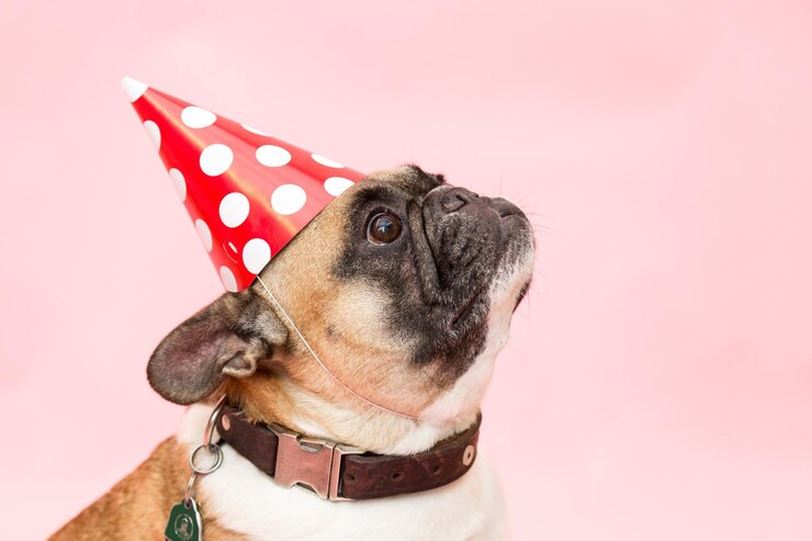 Foto close-up van een hond tegen een roze achtergrond