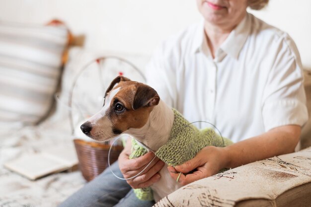 Foto close-up van een hond