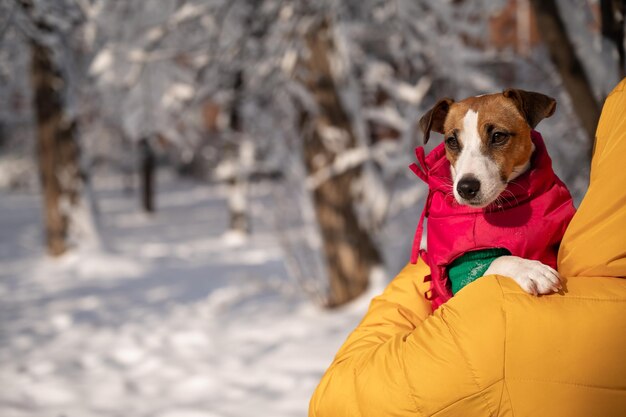 Foto close-up van een hond