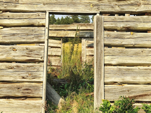 Close-up van een houten deur van een gebouw