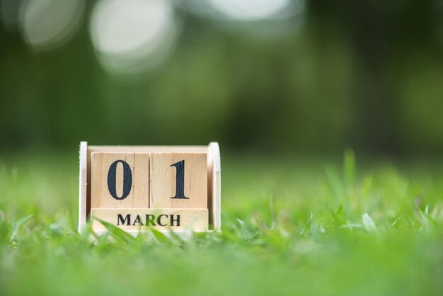 Foto close-up van een houten kalender op een grasveld