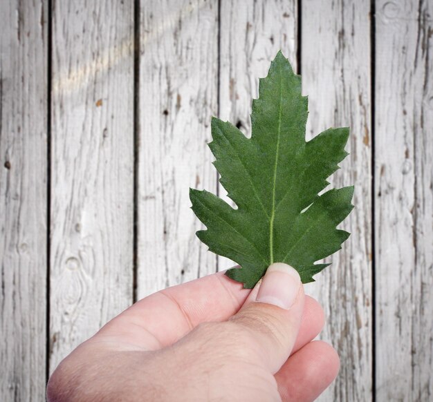 Close-up van een houten plank