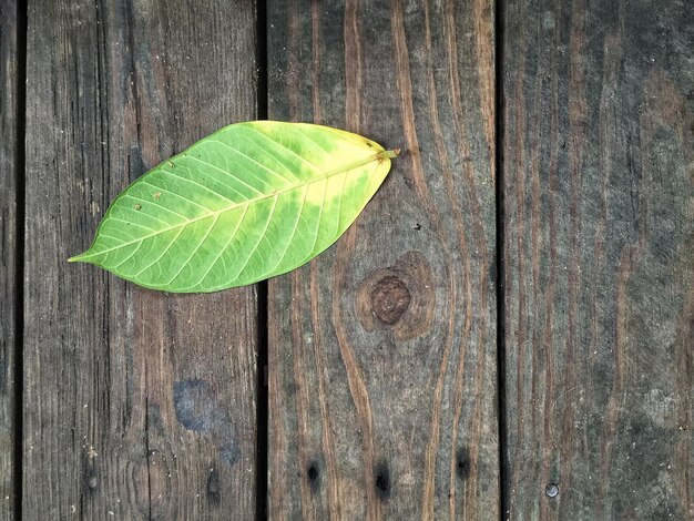 Foto close-up van een houten plank