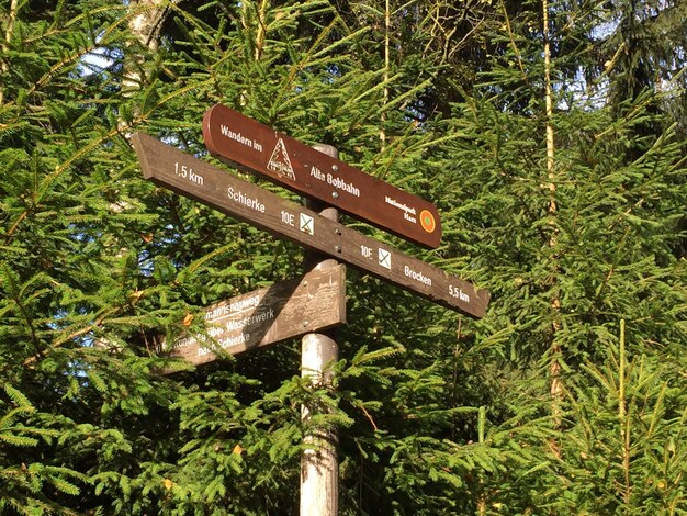 Close-up van een informatiebord tegen bomen