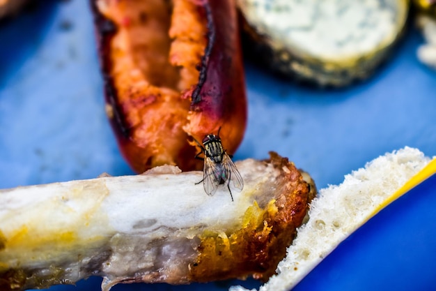 Close-up van een insect